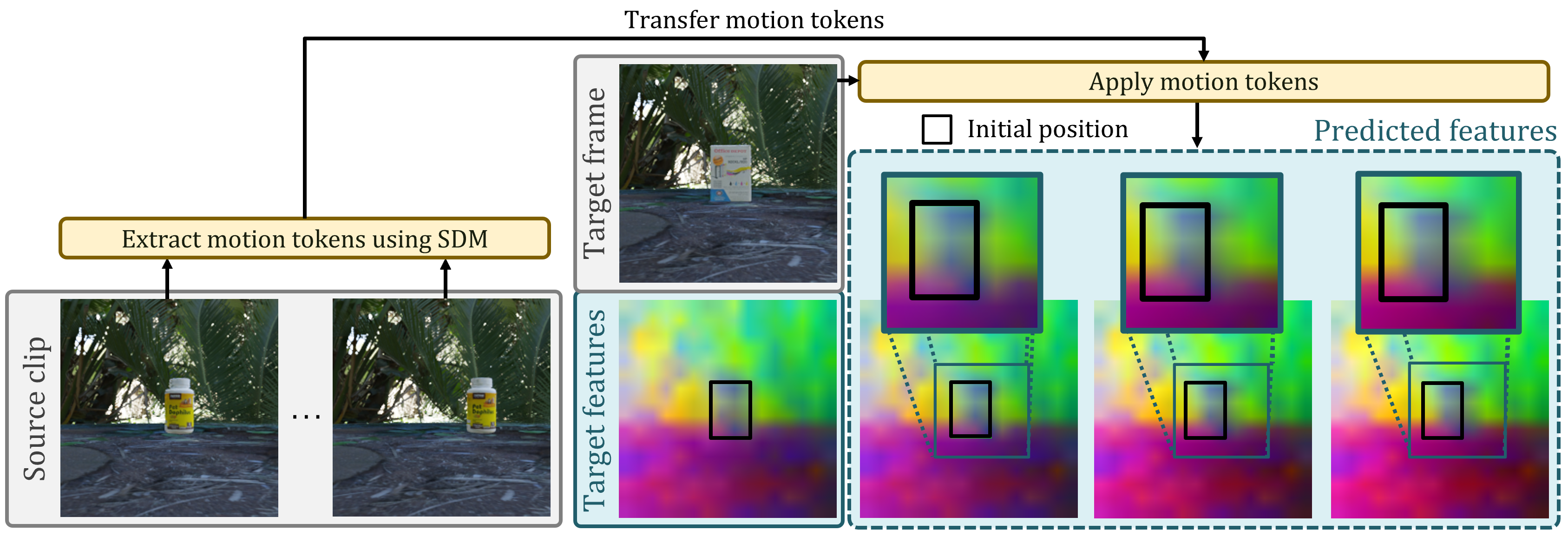 Latent motion swapping by applying motion tokens from a source clip to a target clip.